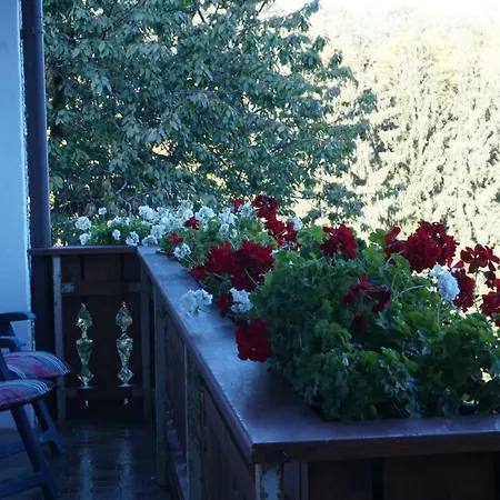 Guest house Ferienwohnung Kock 